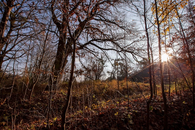 Changes in nature during the autumn season