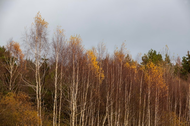 Changes in nature during the autumn season