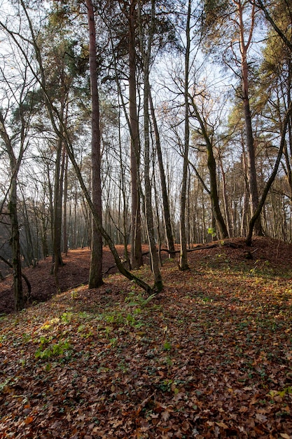 Changes in nature during the autumn season