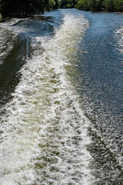 Channel landscape with waves in Danube Delta,  Romania,  on summer day, 2021