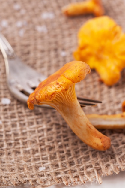 chanterelle on fork