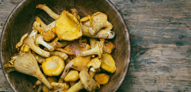 Chanterelle mushrooms on a wooden background. Raw mushrooms in a wooden bowl.