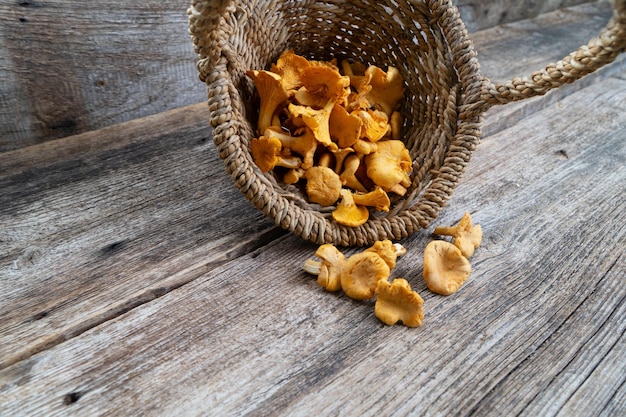 Chanterelle mushrooms on wooden background