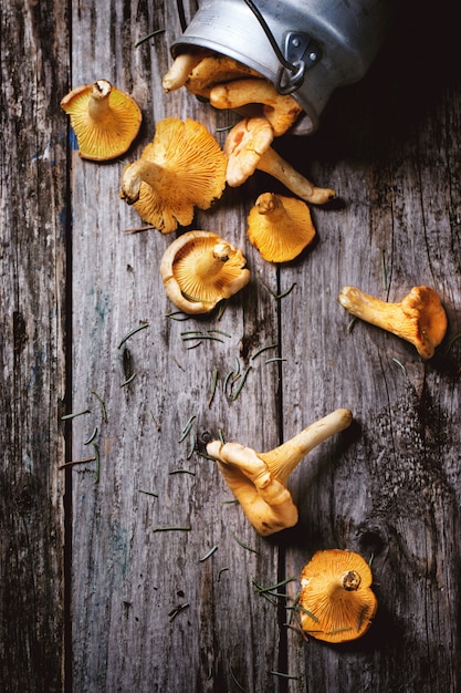 Chanterelle mushrooms