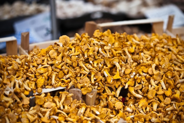 Chanterelles selling in a market