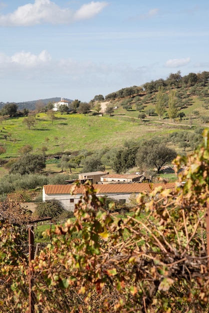 Photo chapel and hills outside berzocana, caceres, spain