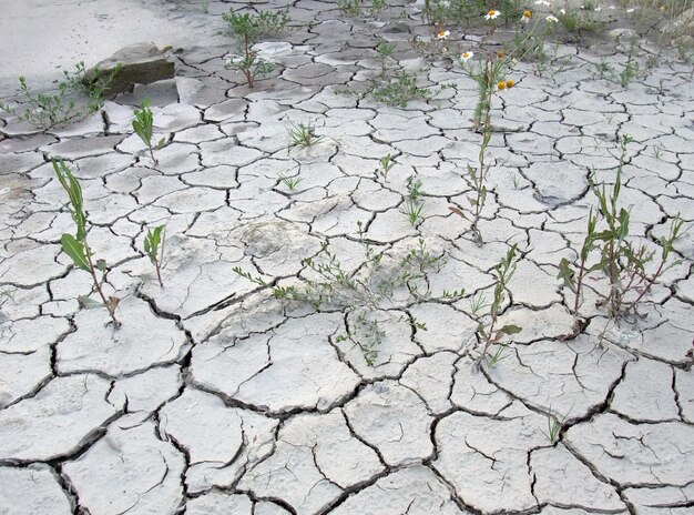 Photo chapped desert border