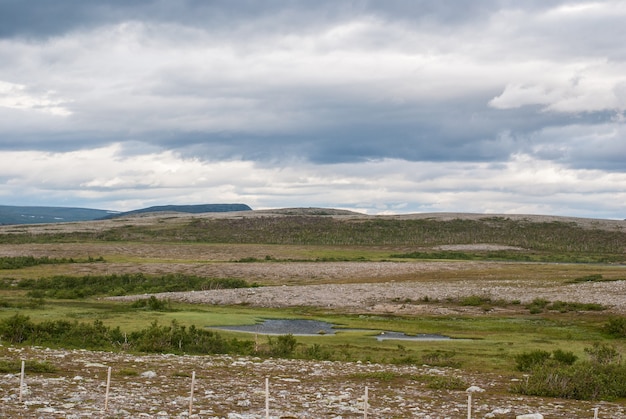 ノルウェー北部、夏の北極ツンドラの特徴的な風景