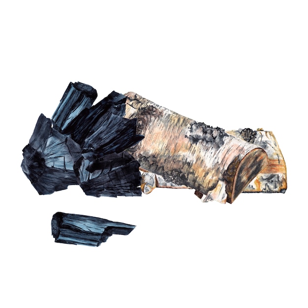 Photo charcoal and firewood. pieces of black coal with birch tree. watercolor painting.