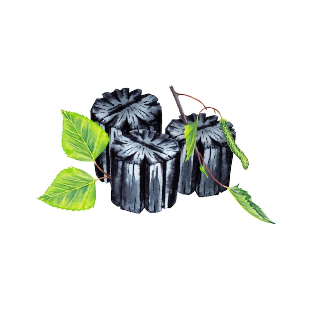 Charcoal and fresh plant. Briquette of black coal with green birch branch and leaves. Watercolor painting.