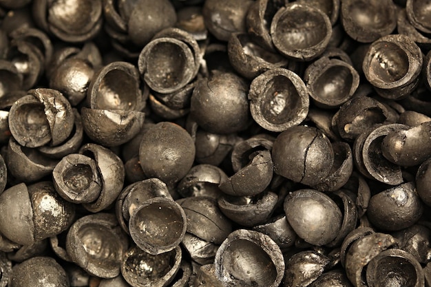 Charcoal from the bark of macadamia through the heat treatment process