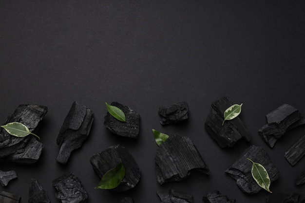 Carbone e foglie su sfondo nero spazio per il testo