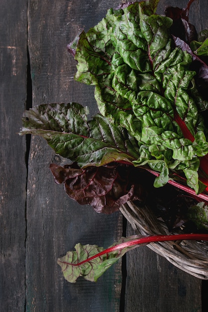 Chard mangold salad leaves