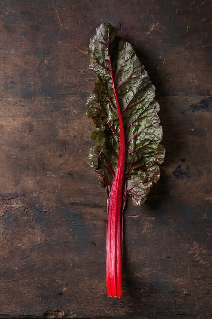 Chard mangold salad leaves