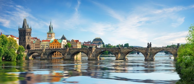 Charles bridge on river Vltava in summer