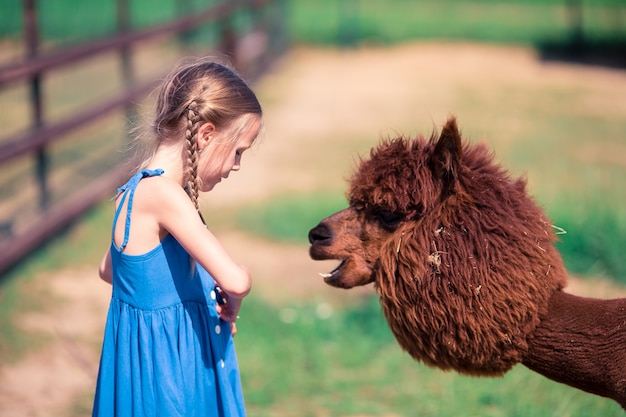 Charmant klein meisje speelt met schattige alpaca in het park