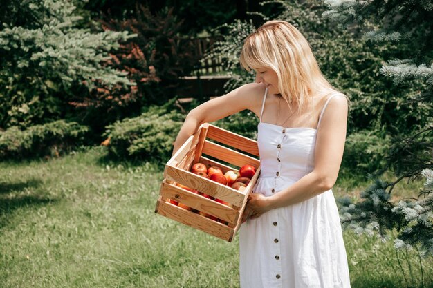 Charmante blonde in witte zomerjurk op zomerdag houdt houten kist met rode appels in haar handen. Gezonde levensstijl. Milieuvriendelijke materialen. Klein bedrijf. Schoonheid en gezondheid. Vrouw met appels.