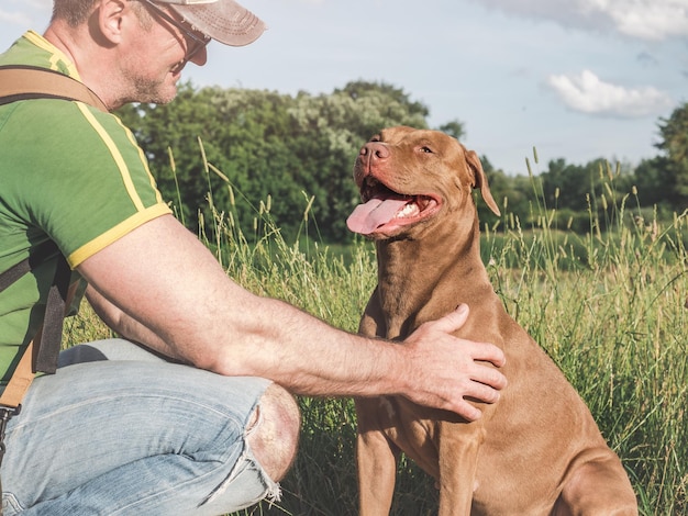 Charmante mooie bruine puppy en aantrekkelijke man