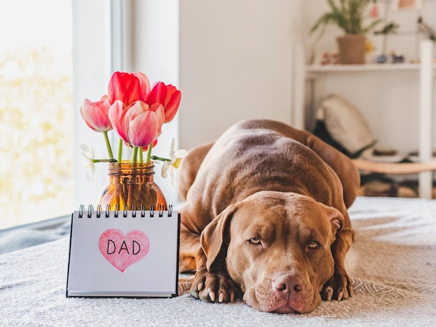 Charmante puppy en notitieblok met het woord DAD