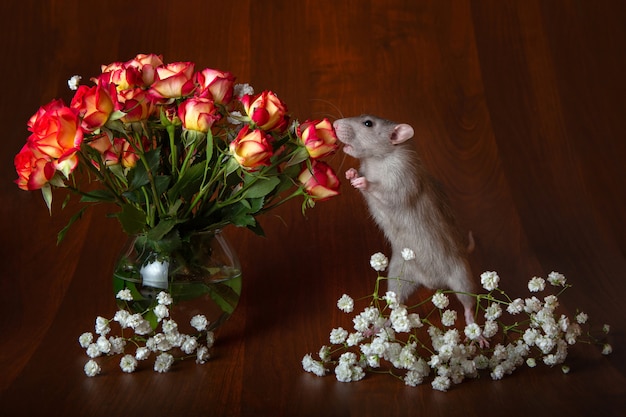 Charmante rat op zijn achterpoten snuift bloemen.