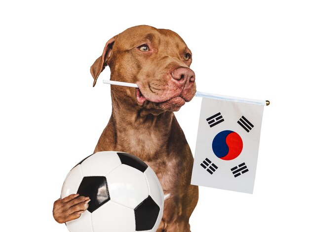 Charmante schattige puppy met nationale vlag Close-up