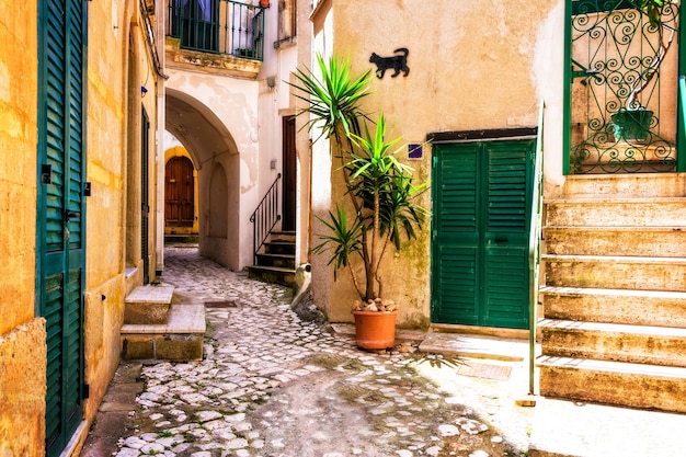 Charmante smalle straatjes van de oude stad Otranto in Puglia, Italië