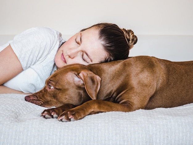 魅力的な愛らしい茶色の子犬と甘い女性