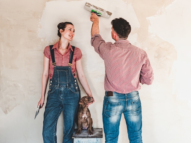 Charming, adorable puppy of brown color and a married couple doing repairs.