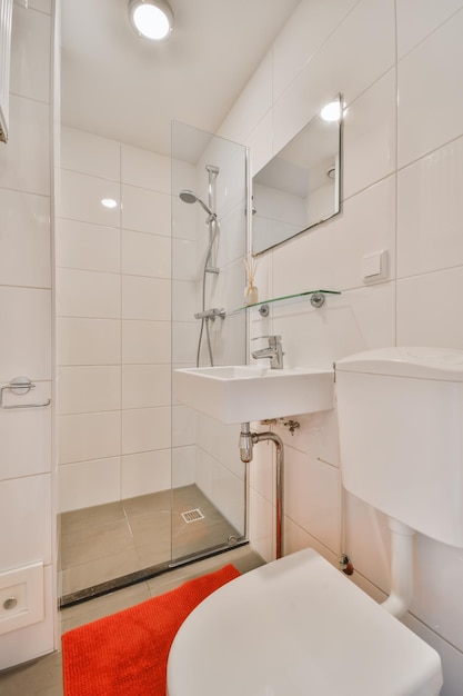 Charming bathroom with orange rug