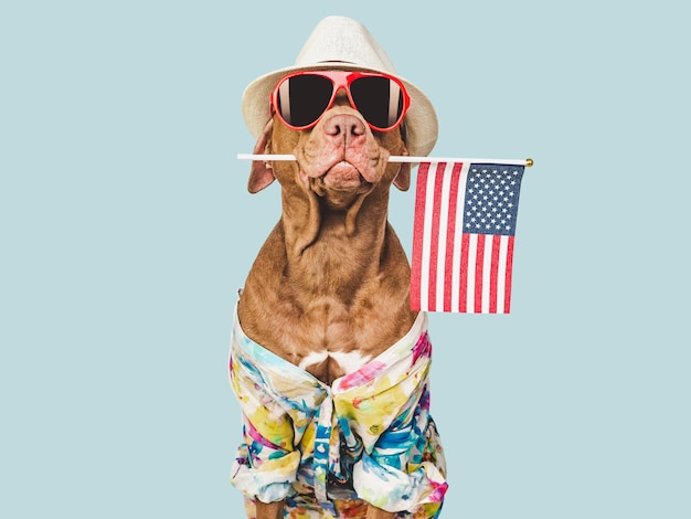 Charming brown puppy sun hat and American flag