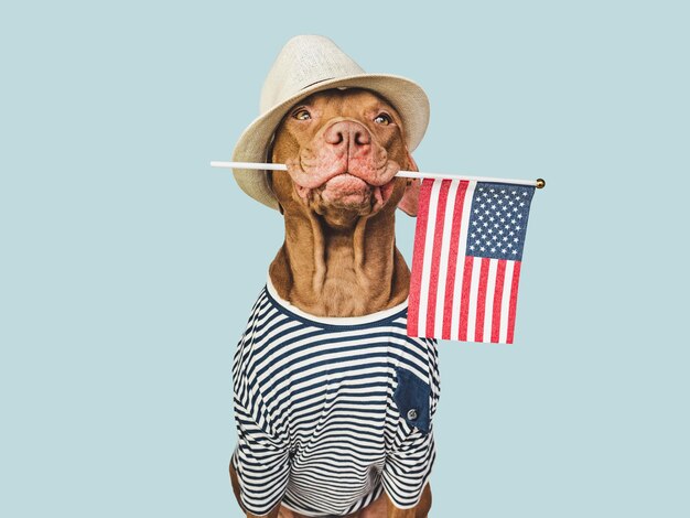 魅力的な茶色の子犬の太陽の帽子とアメリカの国旗