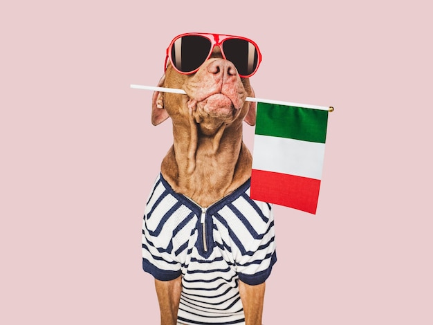 Charming brown puppy sunglasses and Italian flag