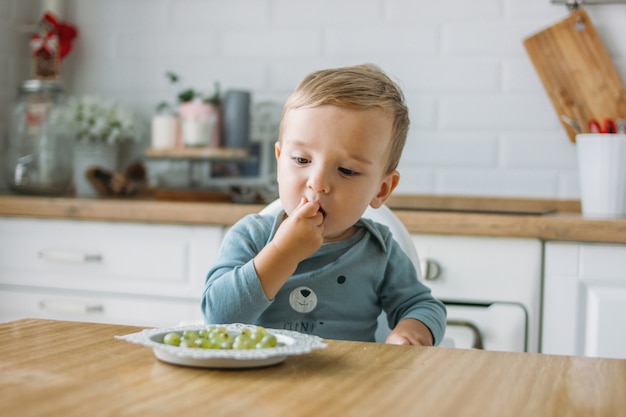 Charming concentrated little baby boy eating first food green grape at bright kitchen at home