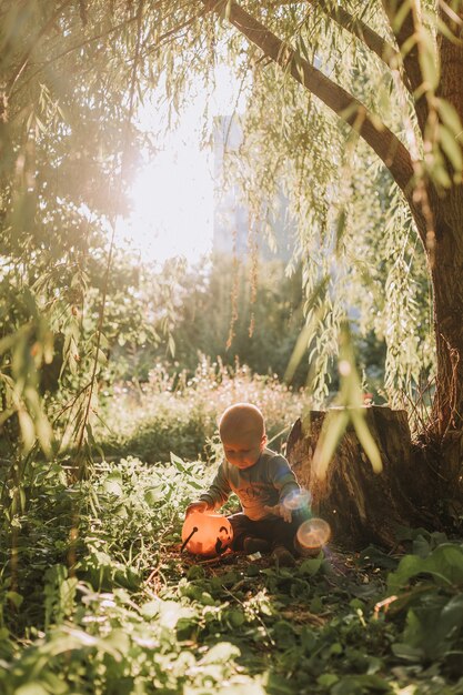 Charming cute baby boy with pumpkin basket for sweets is sitting under a spreading willow at sunset