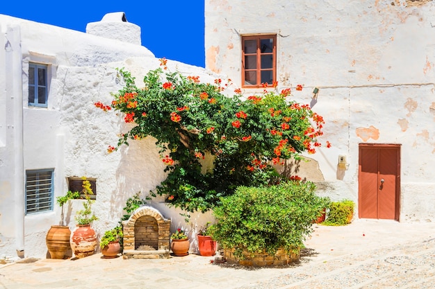 ナクソス島の旧市街の魅力的な花の通り。ギリシャ