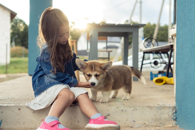 魅力的な少女は、家の庭に屋外で座っているかわいいコーギー犬を愛撫します。子供は、茶色のふわふわのかわいい子犬と遊ぶ