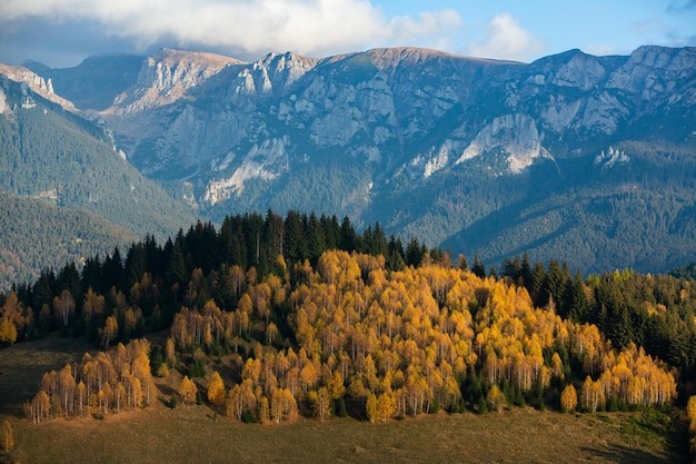 Очаровательный горный пейзаж в горах Бучеджи, Карпаты, Румыния