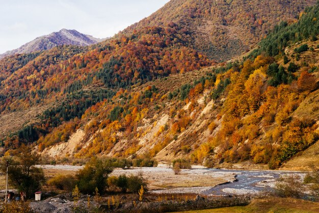 魅力的な自然、緑と黄色の木々に覆われた雄大な山と丘、秋の自然