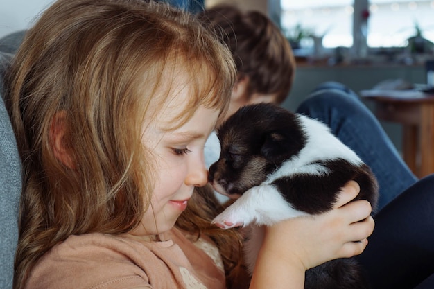 매력적인 코 행복한 소녀는 그녀의 손에 매력적인 강아지를 들고 소파에 앉아 코로 코를 만지고 있습니다.