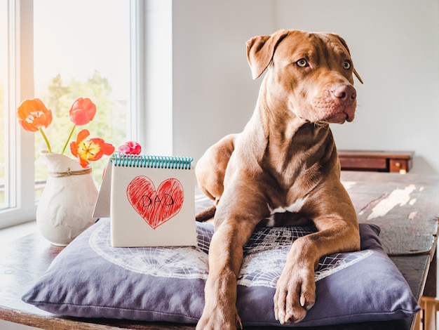 Charming puppy and heart drawing. Side view