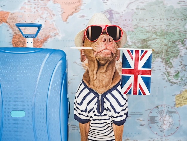 Charming puppy sunhat sunglasses and British flag