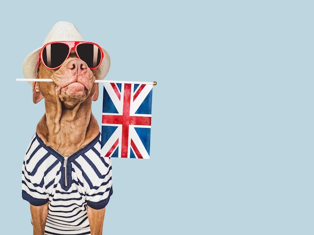 Charming puppy sunhat sunglasses and British flag