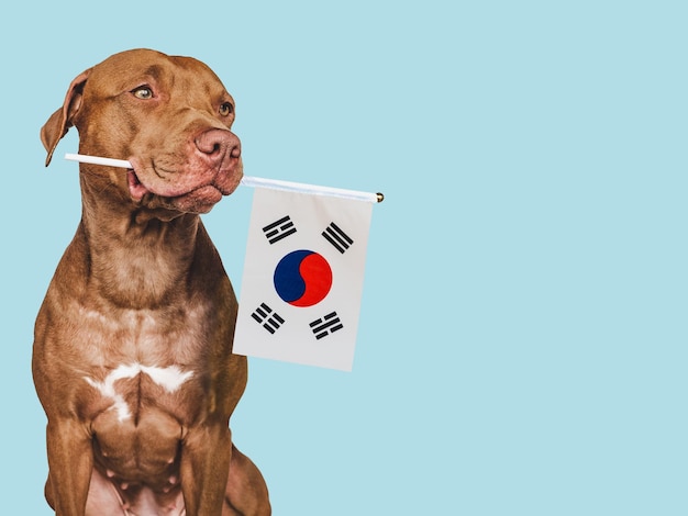 Charming puppy with the national flag Republic of Korea