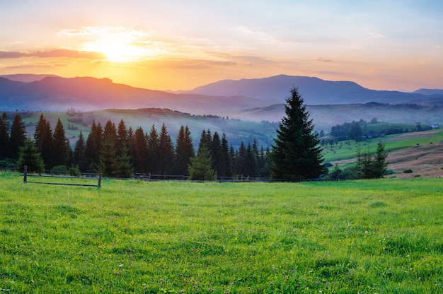 Charming summer sunset