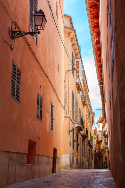 Charming typical village street of Valldemossa, Majorca, Spain