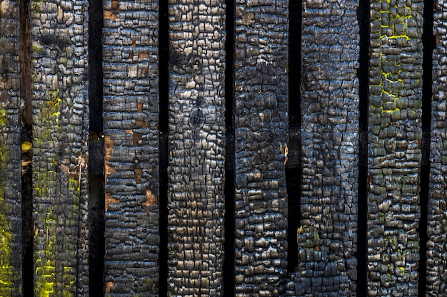 The charred wall of the house. building after the fire. wooden texture after fire. High quality photo