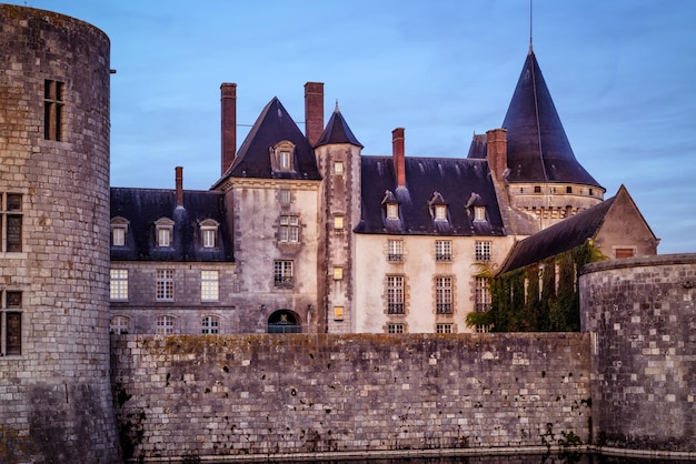 Chateau van SullysurLoire in de avond Frankrijk