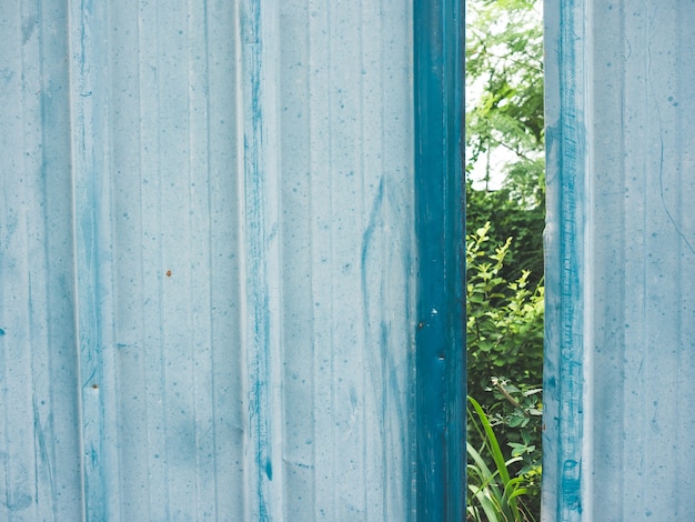 Cheap blue zinc fence with some plants growing behind.