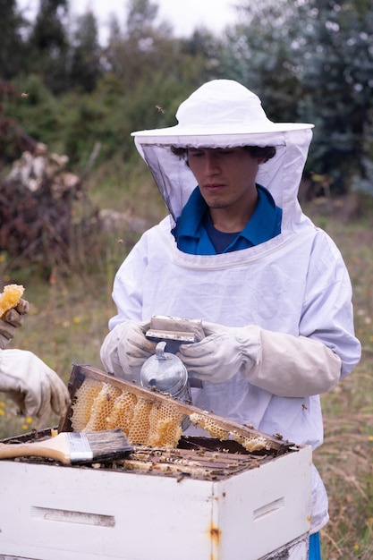 Checking the honey bees