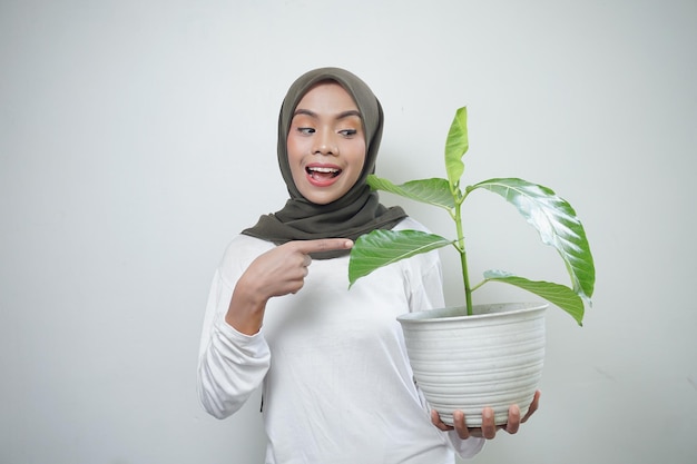 Веселая азиатка-мусульманка в футболке и хиджабе держит растение на белом фоне